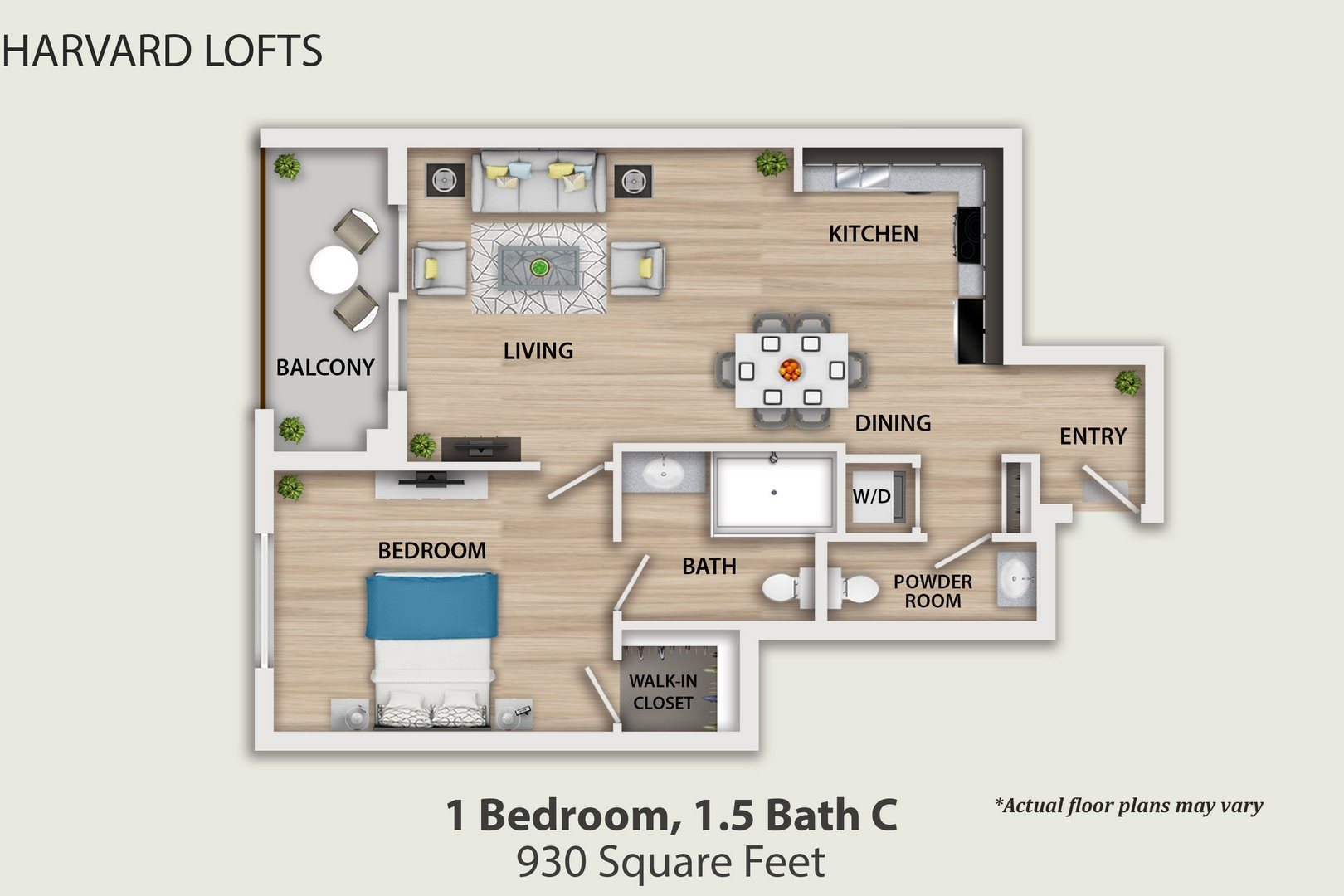 1 Bedroom, 1.5 Bathroom C Floor Plan 3
